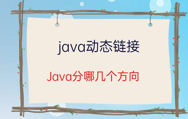 java动态链接 Java分哪几个方向？